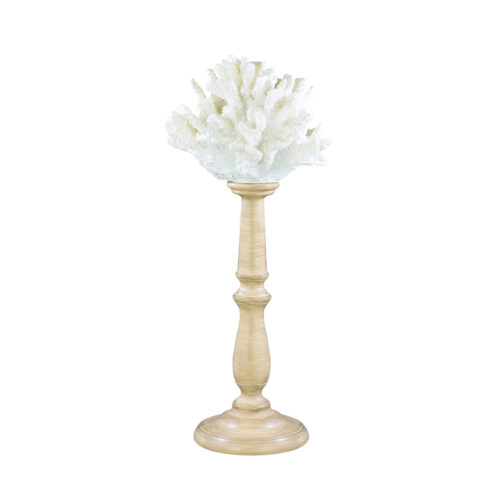 Corallo Medium