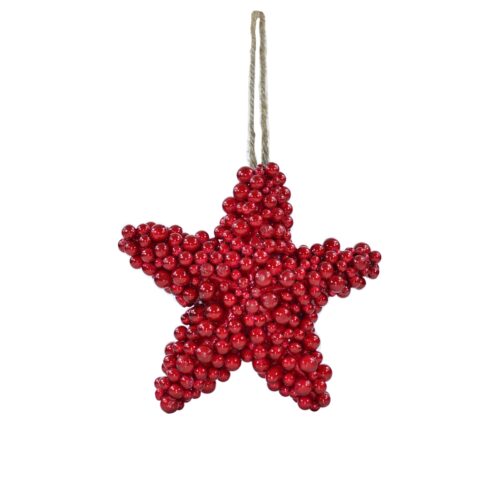 Stella Bacche Rosse